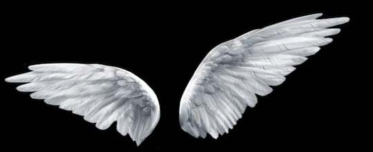 Angel Investing – 11 Interesting Facts and Figures